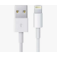 Apple USB Typ A – Lightning Cable